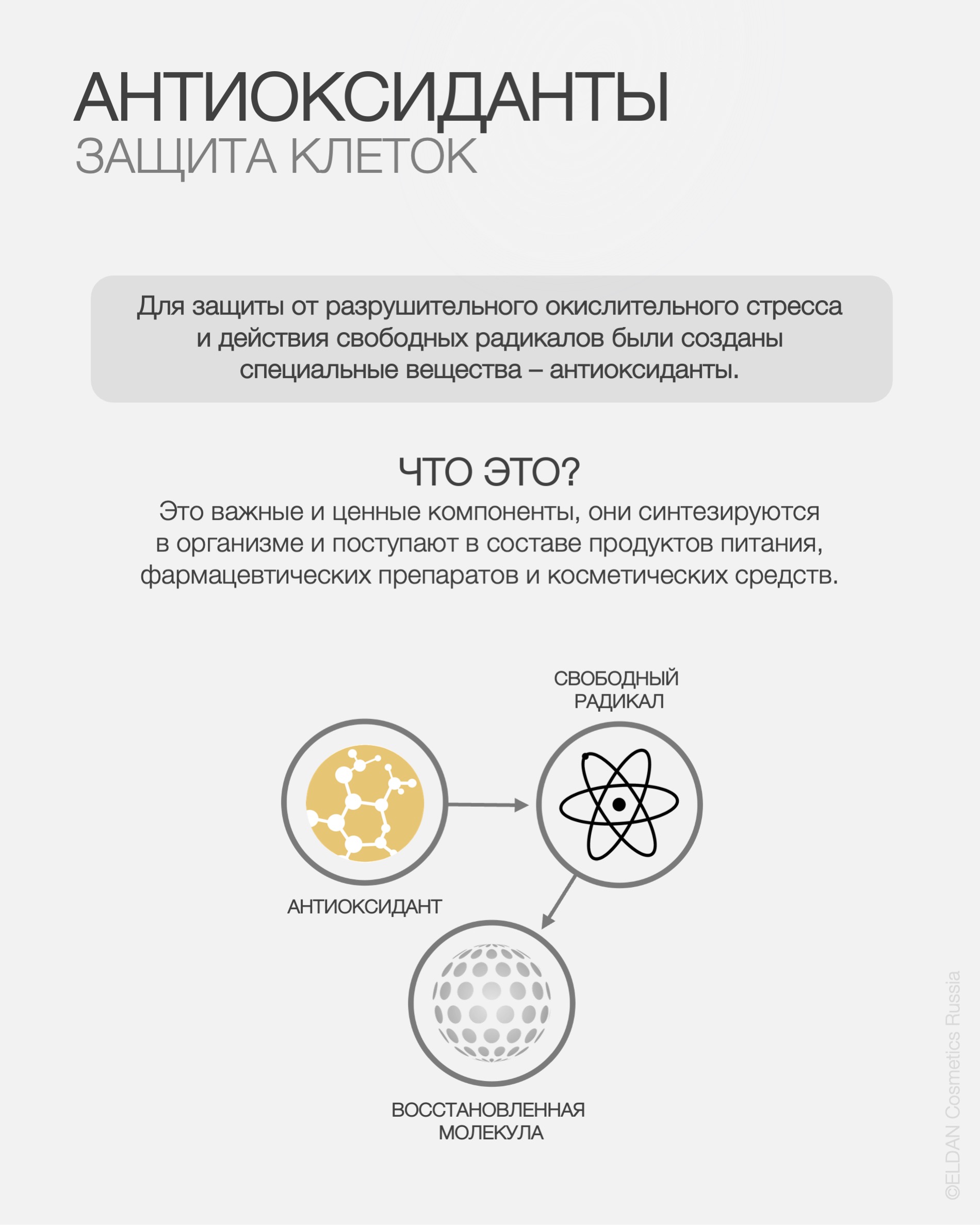 Пост различия антиоксидантов 2.jpg